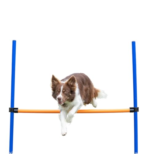 TRIXIE Hunde Agility Hürde – Agility-Ausrüstung für Hunde mit höhenverstellbarer Querstange, Trainingsausrüstung für Hunde ideal für Anfänger & Fortgeschrittene 123 x 115 cm - 3270 TRIXIE Hunde Agility Hürde – Agility-Ausrüstung für Hunde mit höhenverstellbarer Querstange, Trainingsausrüstung für Hunde ideal für Anfänger & Fortgeschrittene 123 x 115 cm - 3270 von TRIXIE