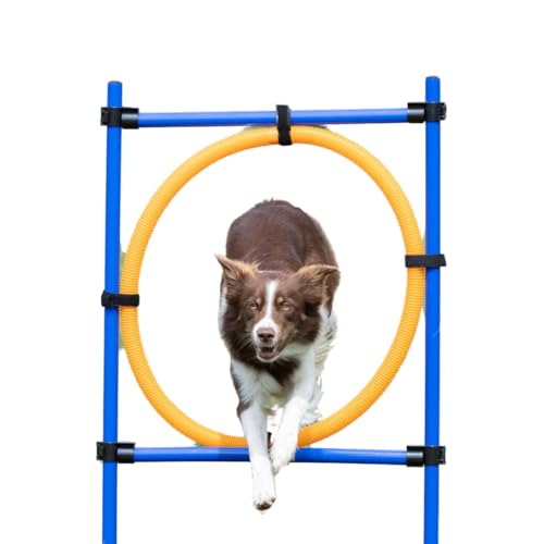 Trixie Agility Ring, 115×ø 3 cm, ø 65 cm Trixie Agility Ring, 115×ø 3 cm, ø 65 cm von TRIXIE