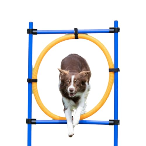 Trixie 3208 Dog Activity Agility Ring, Kunststoff, 115 × ø 3 cm, ø 65 cm, blau/orange von TRIXIE