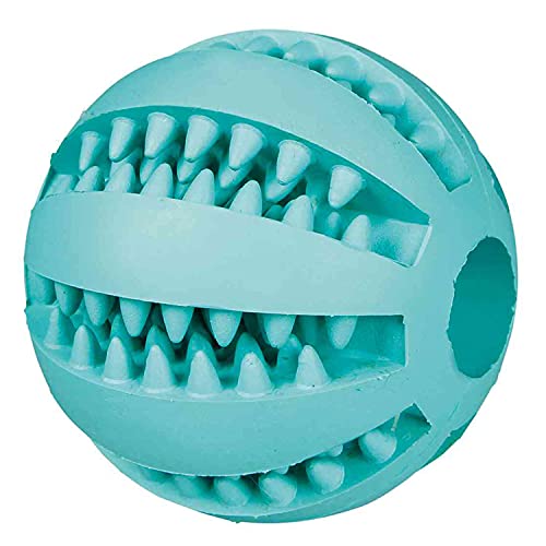 Trixie Denta Fun Ball, Naturgummi mit Minzgeschmack, 5 cm von TRIXIE