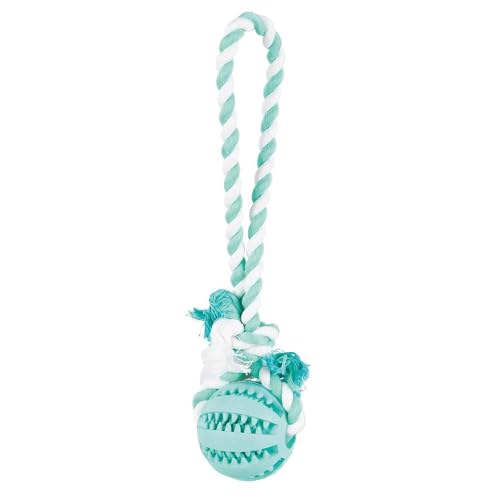 Trixie 3299 Denta Fun Ball am Tau, Mintfresh, Naturgummi, ø 7/24 cm von TRIXIE