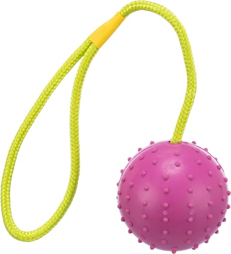 Trixie Ball am Seil, Naturgummi, ø 7/30 cm, pink/lime, Hundespielzeug, Apportieren, Tauziehen Trixie Ball am Seil, Naturgummi, ø 7/30 cm, pink/lime, Hundespielzeug, Apportieren, Tauziehen von TRIXIE