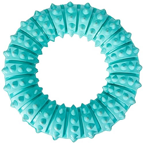 Trixie 33181 Denta Fun Ring, Mintfresh, Naturgummi, ø 12 cm von TRIXIE