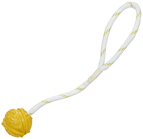 Trixie 33481 Ball am Seil, Naturgummi, schwimmt, ø 4,5/35 cm Trixie 33481 Ball am Seil, Naturgummi, schwimmt, ø 4,5/35 cm von TRIXIE
