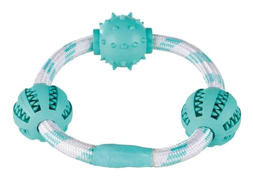 Trixie 33704 Denta Fun Seilring m. Bällen, Mintfresh, Naturgum., ø 20 cm/ø 5 cm Trixie 33704 Denta Fun Seilring m. Bällen, Mintfresh, Naturgum., ø 20 cm/ø 5 cm von TRIXIE