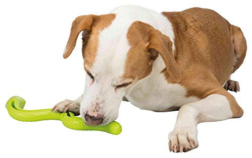 TRIXIE robuste SNACK-SNAKE, TPR, 42 CM, GRÜN, Beschäftigung durch befüllen von Snacks, Kauartikel und Cremes - 34949 TRIXIE robuste SNACK-SNAKE, TPR, 42 CM, GRÜN, Beschäftigung durch befüllen von Snacks, Kauartikel und Cremes - 34949 von TRIXIE