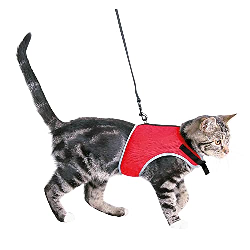 Trixie 41896 Softgeschirr mit Leine, Katze, 24–42 cm, 1,20 m von TRIXIE