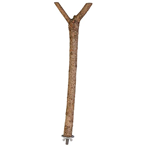 Trixie 5877 Natural Living Sitzstange, Y~Form, 35 cm/ø 18 mm Trixie 5877 Natural Living Sitzstange, Y~Form, 35 cm/ø 18 mm von TRIXIE