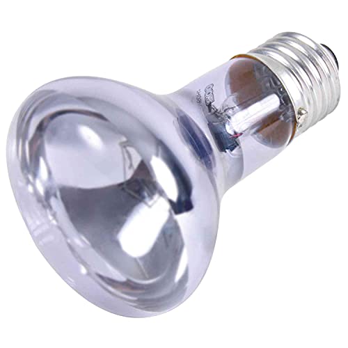 Trixie 76005 Neodymium Wärme-Spotlampe, ø 63 × 100 mm, 35 W von TRIXIE