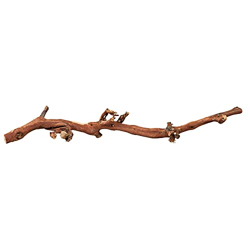 Trixie 76170 5 Weinreben, wassergestrahlt, L: 40–60 cm, 5 Stücke Trixie 76170 5 Weinreben, wassergestrahlt, L: 40–60 cm, 5 Stücke von TRIXIE