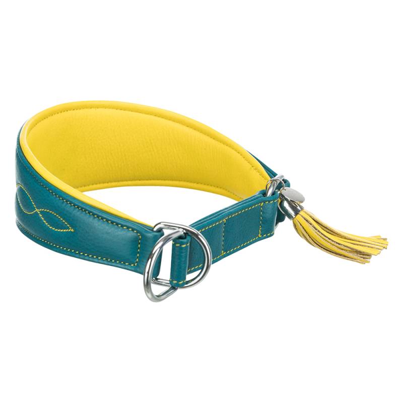 Trixie Active Comfort Halsband für Windhunde, petrol/gelb - Größe S-M: 33 - 42 cm, 60 mm breit von TRIXIE
