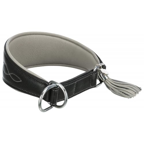 TRIXIE Active Komfort Windhunde Halsband Größe S: Halsumfang 27-35 cm/55 mm in schwarz - extra breites Hundehalsband für kleine Hunde, schützt den Kehlbereich, unterfüttert, 18962 TRIXIE Active Komfort Windhunde Halsband Größe S: Halsumfang 27-35 cm/55 mm in schwarz - extra breites Hundehalsband für kleine Hunde, schützt den Kehlbereich, unterfüttert, 18962 von TRIXIE