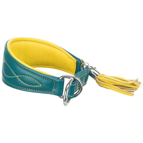 TRIXIE Active Komfort Windhunde Halsband Größe XS-S: Halsumfang 24-31 cm/50 mm in Petrol - extra breites Hundehalsband für kleine Hunde, schützt den Kehlbereich, unterfüttert, 18966 TRIXIE Active Komfort Windhunde Halsband Größe XS-S: Halsumfang 24-31 cm/50 mm in Petrol - extra breites Hundehalsband für kleine Hunde, schützt den Kehlbereich, unterfüttert, 18966 von TRIXIE