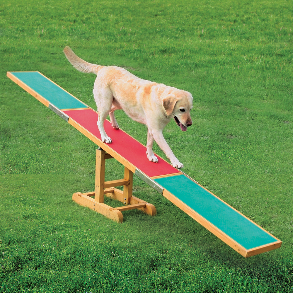 Trixie Agility Wippe - L 300 x B 34 x H 54 cm von TRIXIE