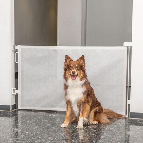 Trixie Ausziehbares Hunde-Absperrgitter - 0-137 × 86 cm von TRIXIE