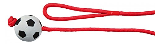 TRIXIE Ball aus Moosgummi am Seil, ø 6 cm/1,00 m, orange - 3307 TRIXIE Ball aus Moosgummi am Seil, ø 6 cm/1,00 m, orange - 3307 von TRIXIE