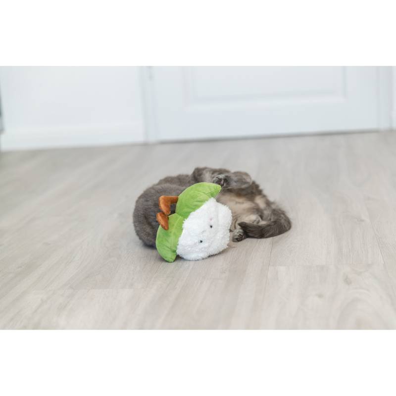 Trixie Blumenkohl XXL von TRIXIE