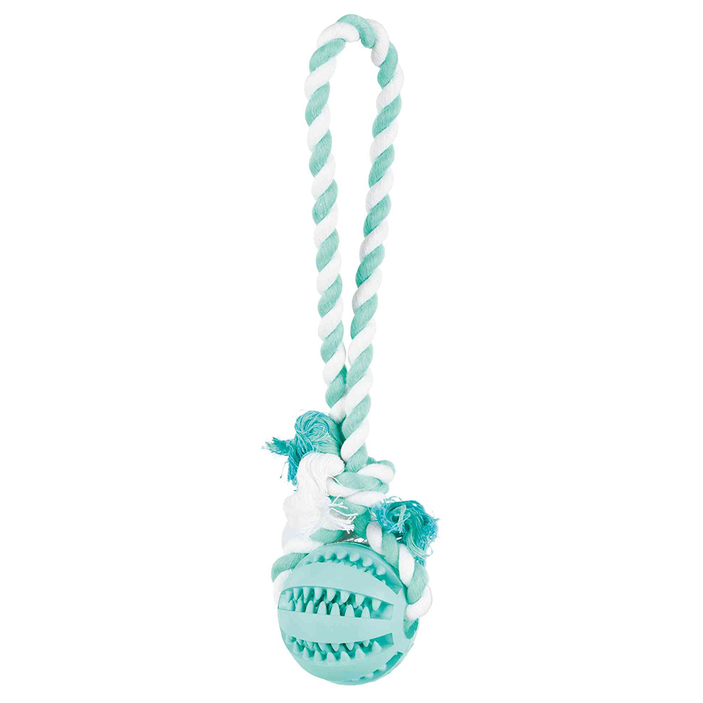 Trixie Denta Fun Spieltau mit Ball - Ø 7 x L 24 cm von TRIXIE