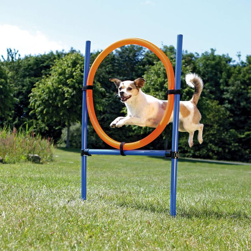 Trixie Dog Activity Agility Ring von TRIXIE