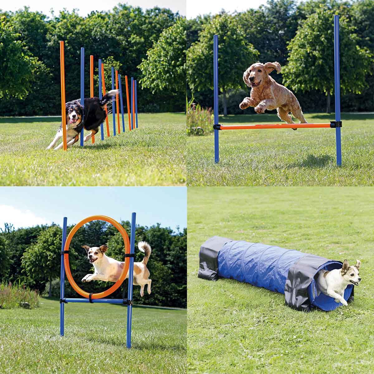 Trixie Dog Activity Agility Set vierteilig von TRIXIE