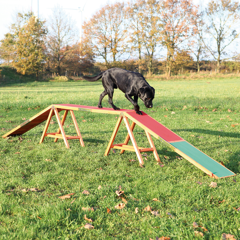 Trixie Dog Activity Agility Steg - L 456 x B 30 x H 64 cm Trixie Dog Activity Agility Steg - L 456 x B 30 x H 64 cm von TRIXIE