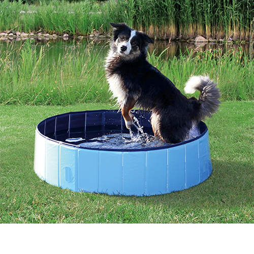 Trixie Hundepool - 160 x 30 cm Trixie Hundepool - 160 x 30 cm von TRIXIE