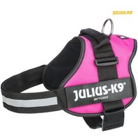 Trixie Julius-K9® Powergeschirr® Gr. 0-3 fuchsia L von TRIXIE