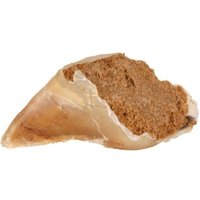 Trixie Kauhuf Fleischpastete 25 Stück Trixie Kauhuf Fleischpastete 25 Stück von TRIXIE