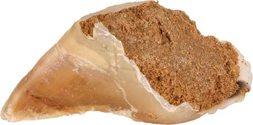 Trixie Kauhuf mit Fleischfüllung, 115 g, 25 Stück Trixie Kauhuf mit Fleischfüllung, 115 g, 25 Stück von TRIXIE