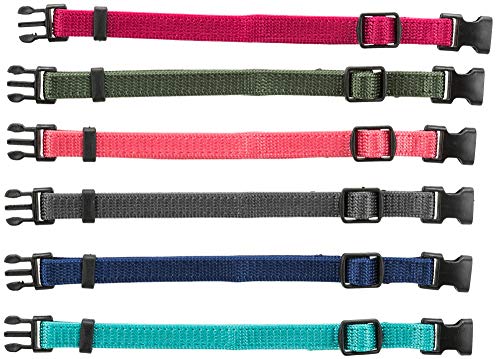 TRIXIE Junior Welpenhalsband Größe S–M: Halsumfang 17–25 cm/10 mm in fuchsia, grafit, indigo - kleines Hundehalsband für kleine bis mittelgroße Hunde, 6er Set zur Gewöhnung, 15552 TRIXIE Junior Welpenhalsband Größe S–M: Halsumfang 17–25 cm/10 mm in fuchsia, grafit, indigo - kleines Hundehalsband für kleine bis mittelgroße Hunde, 6er Set zur Gewöhnung, 15552 von TRIXIE