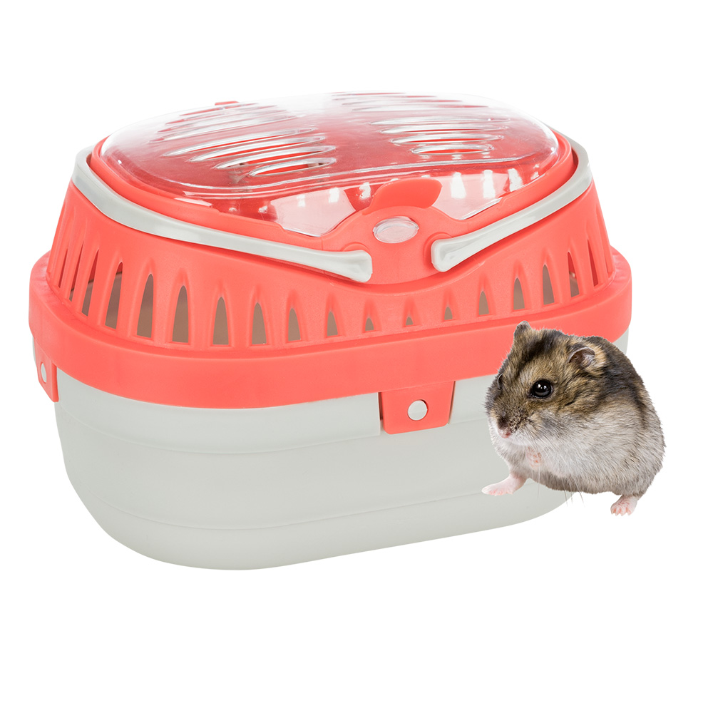 Trixie Transportbox Pico für Kleintiere - ca. B 23 x T 16 x H 17 cm Trixie Transportbox Pico für Kleintiere - ca. B 23 x T 16 x H 17 cm von TRIXIE