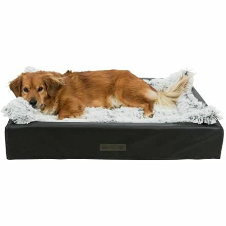 Trixie Vital Remo Bett, 110 x 80 cm, Schwarz Trixie Vital Remo Bett, 110 x 80 cm, Schwarz von TRIXIE