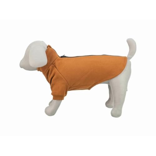 Trixie citystyle Hunde Pullover Sweatshirt Amsterdam rost Trixie citystyle Hunde Pullover Sweatshirt Amsterdam rost von TRIXIE