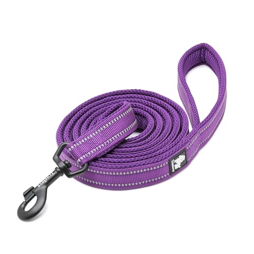 Hund Leine – Reflektierend Material Sorgen für Gute Sichtbarkeit bei Nacht Länge 110 cm oder Schnurlänge in, Mittel, violett Hund Leine – Reflektierend Material Sorgen für Gute Sichtbarkeit bei Nacht Länge 110 cm oder Schnurlänge in, Mittel, violett von Truelove