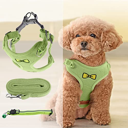 Hundegeschirr Kleine Hunde Verstellbar, Atmungsaktive Verstellbare Welpengeschirr, Step-in Geschirr Reflektierend, Welpengeschirr mit Leine Dackel Geschirr Set für Haustiere Puppia, Chihuahua Hundegeschirr Kleine Hunde Verstellbar, Atmungsaktive Verstellbare Welpengeschirr, Step-in Geschirr Reflektierend, Welpengeschirr mit Leine Dackel Geschirr Set für Haustiere Puppia, Chihuahua von TRUEIN