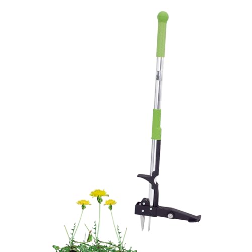 TRUTZHOLM Unkrautstecher Jäter Unkrautentferner 100 cm Länge, inkl. 4 Edelstahl Krallen Gartenhelfer | umweltschonende Methode TRUTZHOLM Unkrautstecher Jäter Unkrautentferner 100 cm Länge, inkl. 4 Edelstahl Krallen Gartenhelfer | umweltschonende Methode von TRUTZHOLM