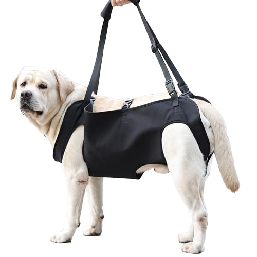 Hundegeschirr für große Hunde, Ganzkörper-Tragetuch für Hunde mit Griff, bis zu 37,6 kg, für Treppen/Rückenbeine, Unterstützung von Gelenkverletzungen/Arthritis (S) von TRYGGT