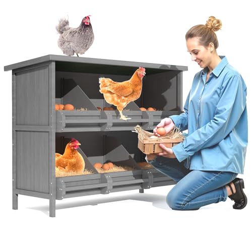 TRYKERPET 2-stöckige Nistkästen für Hühnerstall, 6 Fächer, Hühner Nistkasten aus Holz für Geflügel, Großlast Legenistkasten, Massivholz Eierlegebox für Hühner, Enten TRYKERPET 2-stöckige Nistkästen für Hühnerstall, 6 Fächer, Hühner Nistkasten aus Holz für Geflügel, Großlast Legenistkasten, Massivholz Eierlegebox für Hühner, Enten von TRYKERPET