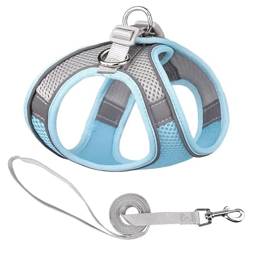 Atmungsaktives, verstellbares Haustiergeschirr, Hundewestengeschirr, Hundegeschirr aus weichem Netzgewebe, reflektierend, atmungsaktiv, Westengeschirre, Easy Walk-Geschirr mit Schnalle for kleine und Atmungsaktives, verstellbares Haustiergeschirr, Hundewestengeschirr, Hundegeschirr aus weichem Netzgewebe, reflektierend, atmungsaktiv, Westengeschirre, Easy Walk-Geschirr mit Schnalle for kleine und von TRgqify-KM