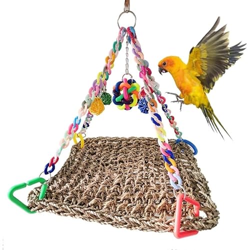 Buntes Vogelschaukelspielzeug, sicherer Papageienkäfig, buntes Kauspielzeug, fünfzackiger Stern (Color : C) von TRgqify-KM