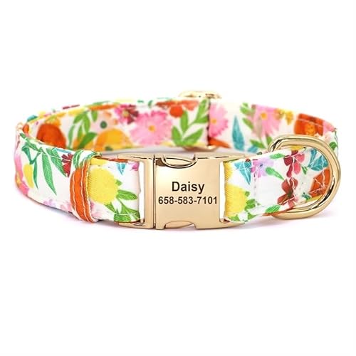 Personalisiertes Welpenhalsband aus Nylon, strapazierfähiges Haustierhalsband for kleine Hunde. Großes Hundehalsband, verstellbares und bequemes Design, geeignet for das Training und den täglichen Geb Personalisiertes Welpenhalsband aus Nylon, strapazierfähiges Haustierhalsband for kleine Hunde. Großes Hundehalsband, verstellbares und bequemes Design, geeignet for das Training und den täglichen Geb von TRgqify-KM