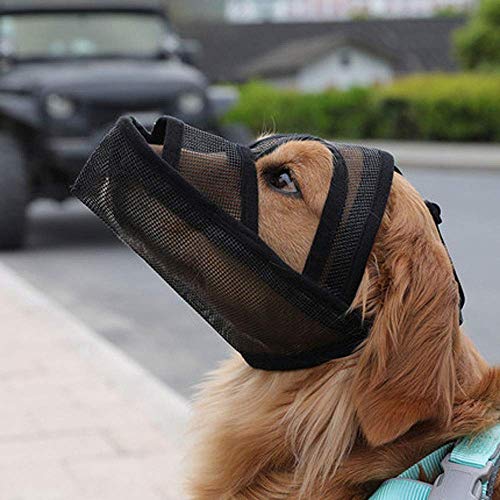 TRoki Maulkorb für Hunde: bequem, atmungsaktiv und einfach zu verwenden TRoki Maulkorb für Hunde: bequem, atmungsaktiv und einfach zu verwenden von TRoki