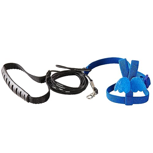 TSBB Vogelflugseil,Papageien-Flugtrainingsseil,elastisches,verstellbares Vogelleinen-Set mit niedlichem Flügel für Papageien,Wellensittiche,Trainingszubehör TSBB Vogelflugseil,Papageien-Flugtrainingsseil,elastisches,verstellbares Vogelleinen-Set mit niedlichem Flügel für Papageien,Wellensittiche,Trainingszubehör von TSBB