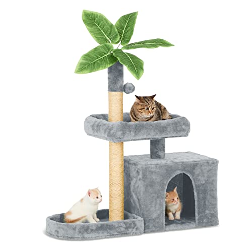 TSCOMON 80 cm Katzenbaum Katzenturm für Indoor-Katzen mit grünen Blättern, Katzenwohnung, Katzenmöbel Haustierhaus mit Kratzstämmen, Grau TSCOMON 80 cm Katzenbaum Katzenturm für Indoor-Katzen mit grünen Blättern, Katzenwohnung, Katzenmöbel Haustierhaus mit Kratzstämmen, Grau von TSCOMON