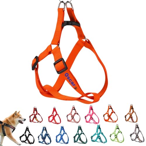 Hundegeschirr mit Namen und Telefon, individuelle Stickerei, verstellbar, Nylon, kein Ziehen, Luftweste, Geschirr für kleine, mittelgroße und große Hunde, leicht, schnell trocknend, atmungsaktives Hundegeschirr mit Namen und Telefon, individuelle Stickerei, verstellbar, Nylon, kein Ziehen, Luftweste, Geschirr für kleine, mittelgroße und große Hunde, leicht, schnell trocknend, atmungsaktives von TSD