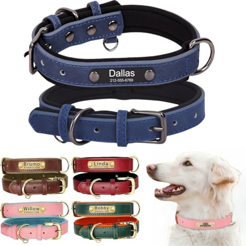 Hundehalsband aus Leder, personalisierbar mit weich gepolstertem Design, strapazierfähig, mit personalisierbarem Namensschild für kleine, mittelgroße und große Hunde Hundehalsband aus Leder, personalisierbar mit weich gepolstertem Design, strapazierfähig, mit personalisierbarem Namensschild für kleine, mittelgroße und große Hunde von TSD
