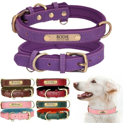 Hundehalsband aus Leder, personalisierbar mit weich gepolstertem Design, strapazierfähig, mit personalisierbarem Namensschild für kleine, mittelgroße und große Hunde Hundehalsband aus Leder, personalisierbar mit weich gepolstertem Design, strapazierfähig, mit personalisierbarem Namensschild für kleine, mittelgroße und große Hunde von TSD