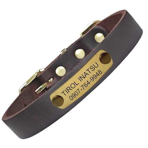 Hundehalsband aus echtem Leder, personalisierbar, mit Haustiername und Telefonnummer, verstellbar, für kleine, mittelgroße und große Hunde und Katzen, modisch, bequem Hundehalsband aus echtem Leder, personalisierbar, mit Haustiername und Telefonnummer, verstellbar, für kleine, mittelgroße und große Hunde und Katzen, modisch, bequem von TSD