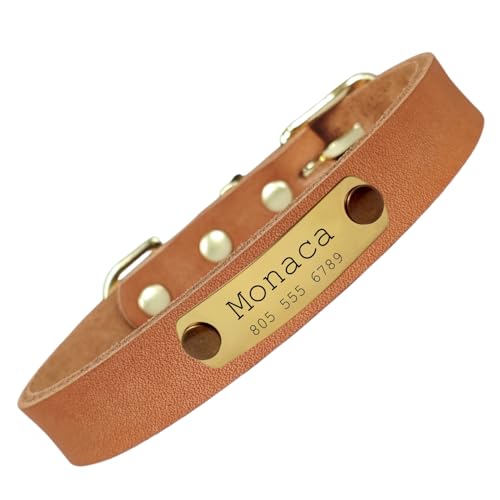 Hundehalsband aus echtem Leder, personalisierbar, mit Haustiername und Telefonnummer, verstellbar, für kleine, mittelgroße und große Hunde und Katzen, modisch, bequem Hundehalsband aus echtem Leder, personalisierbar, mit Haustiername und Telefonnummer, verstellbar, für kleine, mittelgroße und große Hunde und Katzen, modisch, bequem von TSD