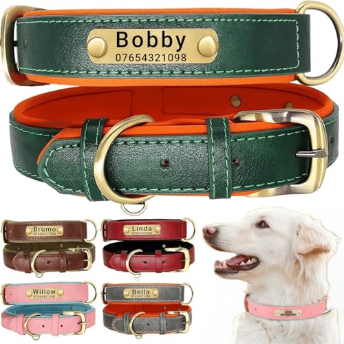 Hundehalsband aus echtem Leder, personalisierbar mit weich gepolstertem Design, strapazierfähig, mit personalisierbarem Namensschild für kleine, mittelgroße und große Hunde Hundehalsband aus echtem Leder, personalisierbar mit weich gepolstertem Design, strapazierfähig, mit personalisierbarem Namensschild für kleine, mittelgroße und große Hunde von TSD